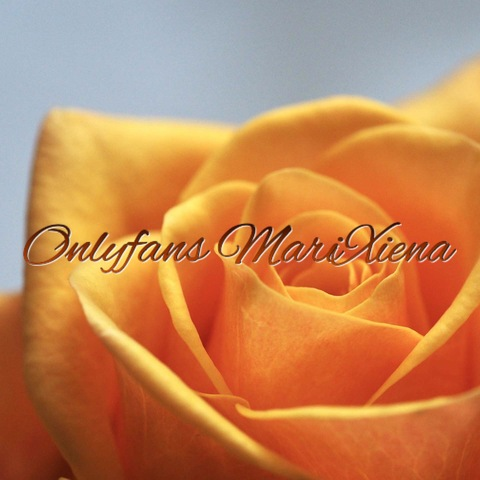 marixiena OnlyFans Leaks (1201 Photos and 296 Videos) 

 picture 2