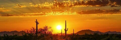 View M. Arizona (martinarizona) OnlyFans 9 Photos and 0 Videos gallery 

 picture 2