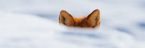 mcpenguen OnlyFans Leak (128 Photos and 99 Videos) 

 picture 2