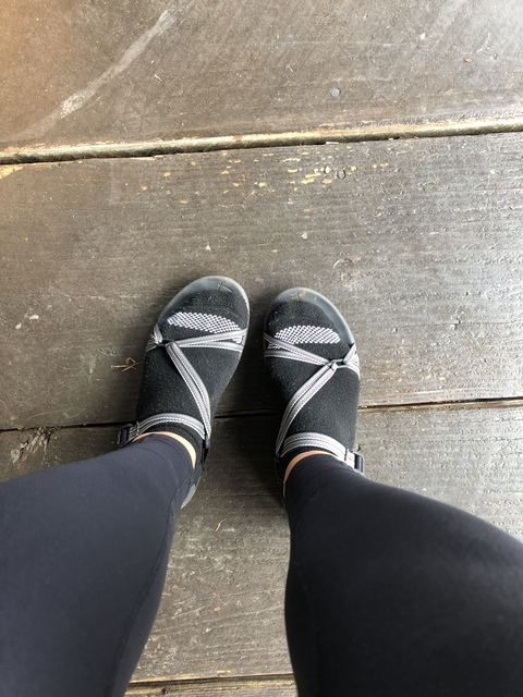 View michiganer-feet OnlyFans content for free 

 picture 2