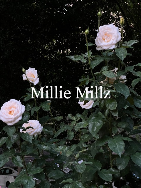 Download milliemillz OnlyFans content free 

 picture 2