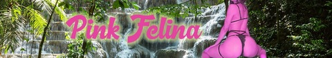 Download minapinkfelina OnlyFans videos and photos free 

 picture 2