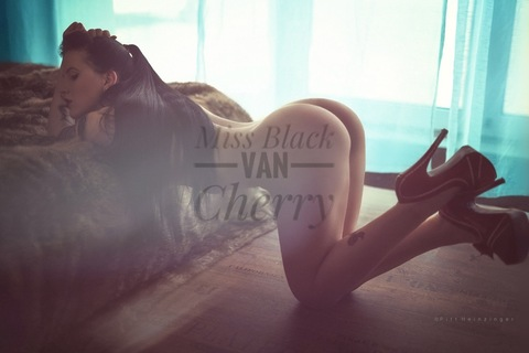 Onlyfans leaks missblackvancherry 

 picture 2