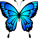 Download missbutterfly OnlyFans content free
picture 1