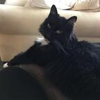 Onlyfans free mittens
picture 1