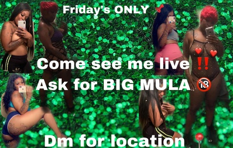 mmmula (BigMula) free OnlyFans Leaked Content 

 picture 2