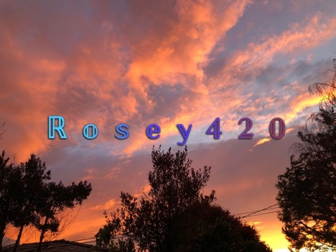 Onlyfans leaks mommyrosey420 

 picture 2