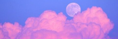 Onlyfans leaks moon_irl 

 picture 2