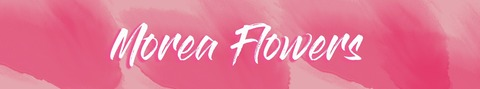 View moreaflowers (Morea Flowers) OnlyFans 62 Photos and 0 Videos leaked 

 picture 2