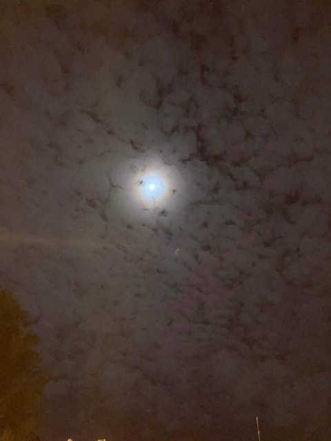 View Morgan Bell (morgybell223) OnlyFans 15 Photos and 1 Videos leaks 

 picture 2