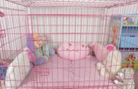 Free access to @moss.puppie (𝔓𝔲𝔭𝔭𝔶) Leaked OnlyFans 

 picture 2