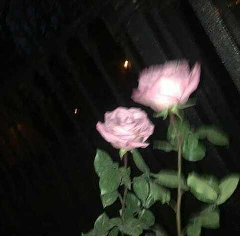 mrsspliz (Halsey Spliz) OnlyFans Leaked Pictures and Videos 

 picture 2