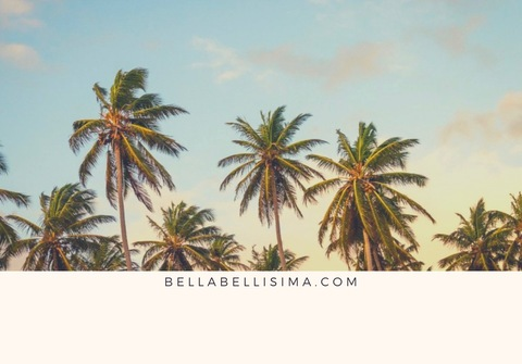 Free access to @msbellabellisima (Miss Bella Bellisima🌹) Leaked OnlyFans 

 picture 2