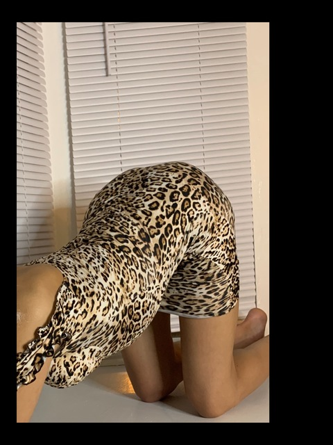 msversianaa (VERSEianaa) OnlyFans Leaked Pictures & Videos 

 picture 2