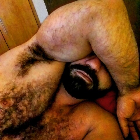 View musclebearbrazil OnlyFans content for free 

 picture 2