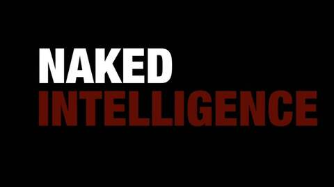 Free access to nakedintelligenceraw (Naked Intelligence Raw) Leaks OnlyFans 

 picture 2
