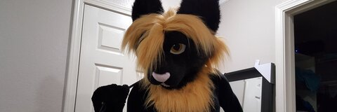 naughtynightcat OnlyFans Leak (59 Photos and 14 Videos) 

 picture 2