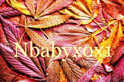 nbabyxox1 (Nicc Honey🍰🍯) OnlyFans Leaked Pictures & Videos 

 picture 2