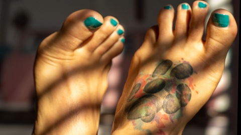 nicifeetish OnlyFans Leaked 

 picture 2