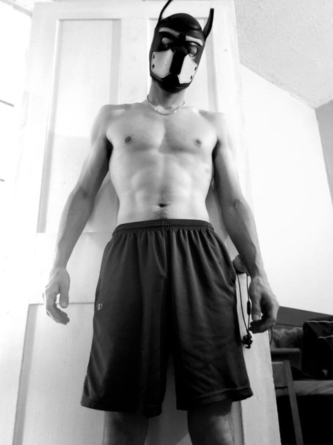 nicwoh OnlyFans Leaked Photos and Videos 

 picture 2