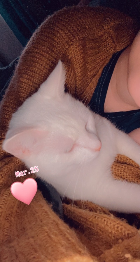 nikkicat420 OnlyFans Leaked 

 picture 2