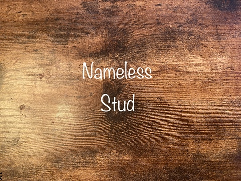 nonamestud OnlyFans Leak 

 picture 2