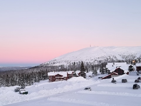 norwegiancub leaked gallery photo 2