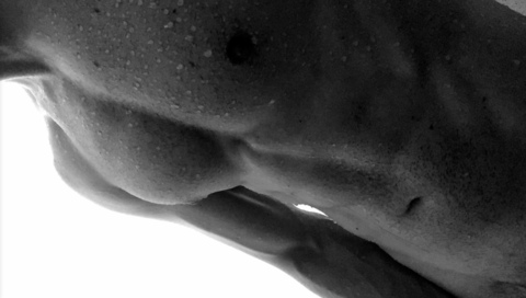 Onlyfans leaked notoriousoffset 

 picture 2