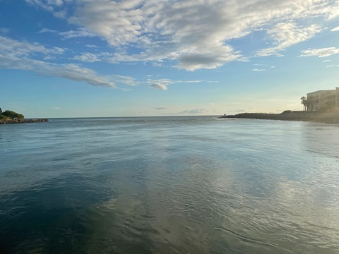 ocean5561 leaked gallery photo 2