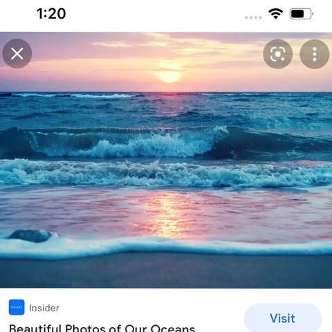 oceantheone OnlyFans Leaks (4 Photos and 6 Videos) 

 picture 2