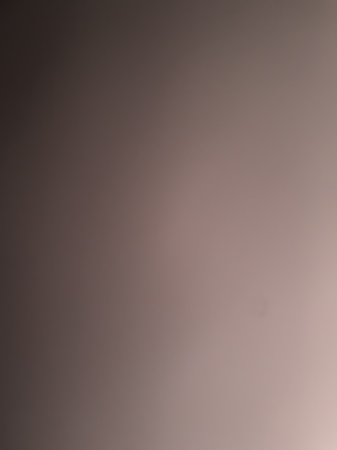 officialmorganstone OnlyFans Leak (35 Photos and 5 Videos) 

 picture 2