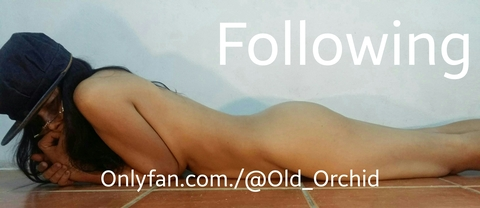 old_orchid OnlyFans Leaked (595 Photos and 72 Videos) 

 picture 2