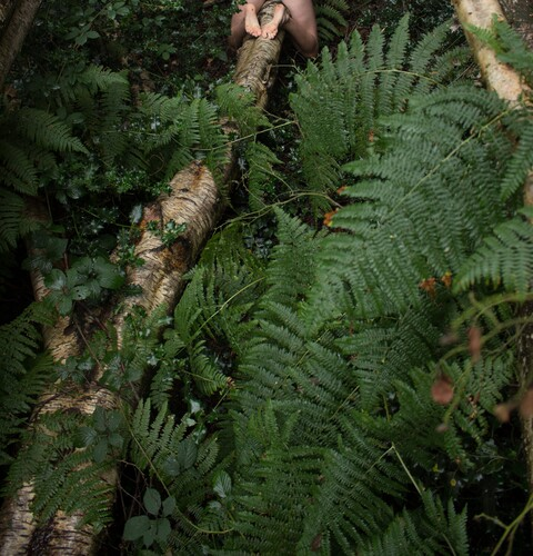 Onlyfans free oliraptor 

 picture 2