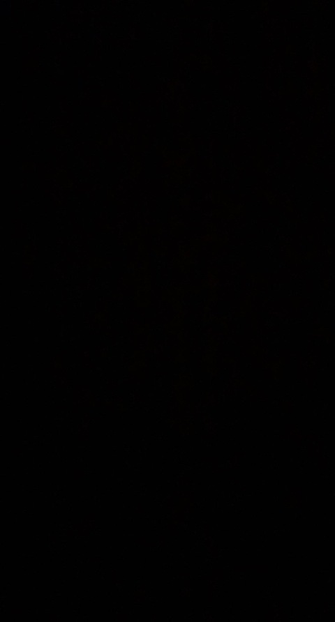 ollieolive (Ollie) free OnlyFans Leaked Content 

 picture 2