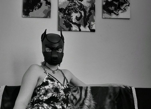 View OneStretchyPup (onestretchypup) OnlyFans 62 Photos and 32 Videos leaked 

 picture 2