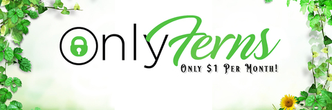 View onlyferns OnlyFans videos and photos for free 

 picture 2