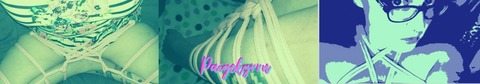 paigekyrrn OnlyFans Leaks 

 picture 2