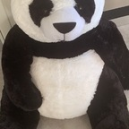 View Pwanda (pandasticpron) OnlyFans 0 Photos and 0 Videos leaked
picture 1