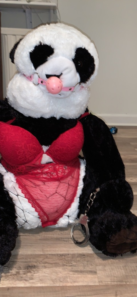 View Pwanda (pandasticpron) OnlyFans 0 Photos and 0 Videos leaked 

 picture 2