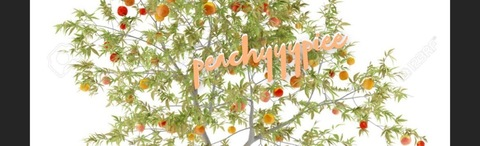 peachyyypiee OnlyFans Leaks 

 picture 2