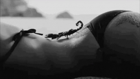@peacockkhaleesi leaks Onlyfans photos for free 

 picture 2