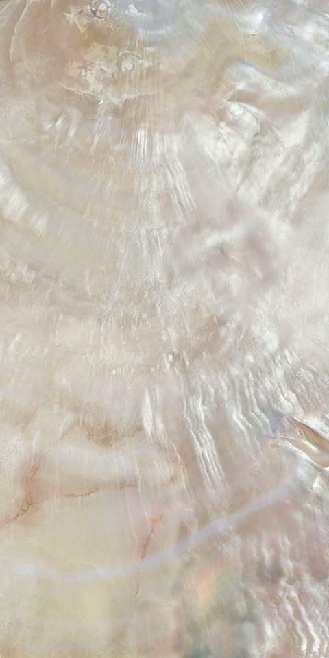 pearl.rain OnlyFans Leaked (143 Photos and 8 Videos) 

 picture 2
