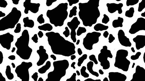 piiinknana (nana 🐮🤍) OnlyFans content 

 picture 2