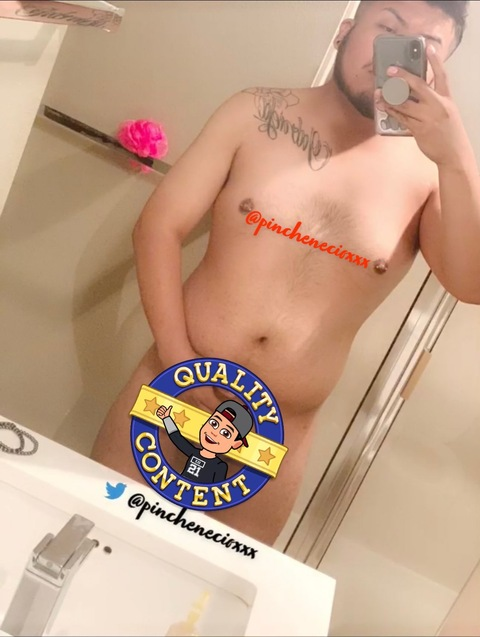 pinchenecio (Pinche Necio) free OnlyFans Leaked Videos and Pictures 

 picture 2