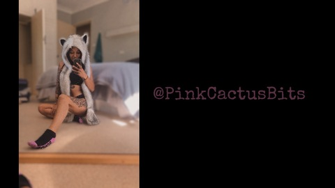 pinkcactusbits OnlyFans Leak (100 Photos and 7 Videos) 

 picture 2