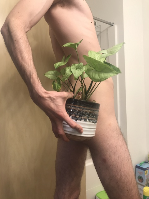 Onlyfans free plantdaddi420 

 picture 2