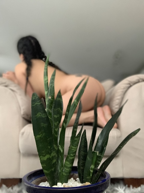 Onlyfans leaked plantmommy 

 picture 2