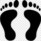 View Footsie Tootsie (playfootsiewme) OnlyFans 0 Photos and 0 Videos leaked 

 picture 1
