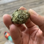 polomayne614 OnlyFans Leak (1 Photos and 0 Videos)
picture 1