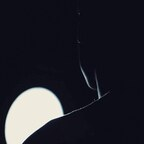 Onlyfans free poorartyboy 

 picture 1